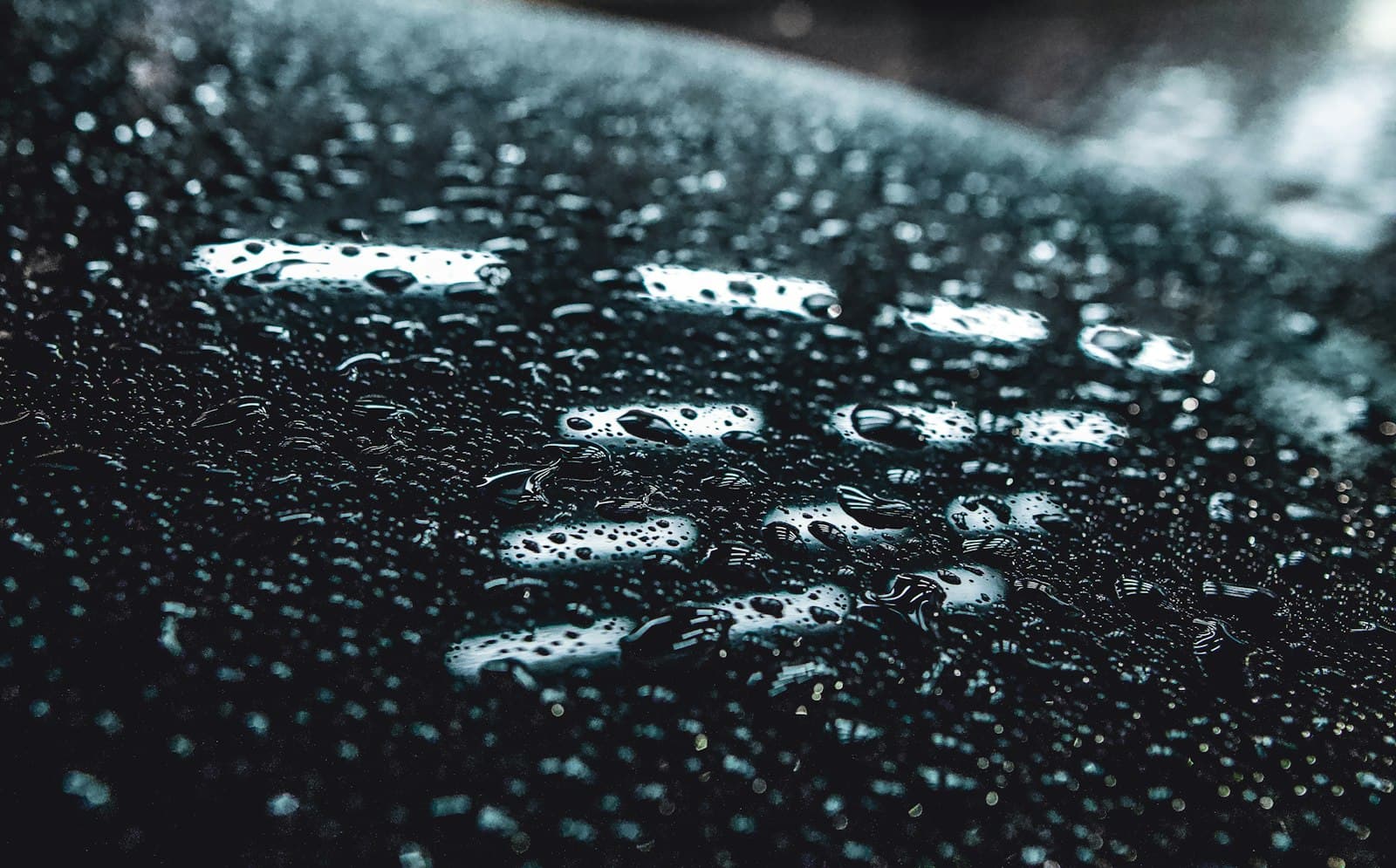 Water beading on dark, protected automotive paint